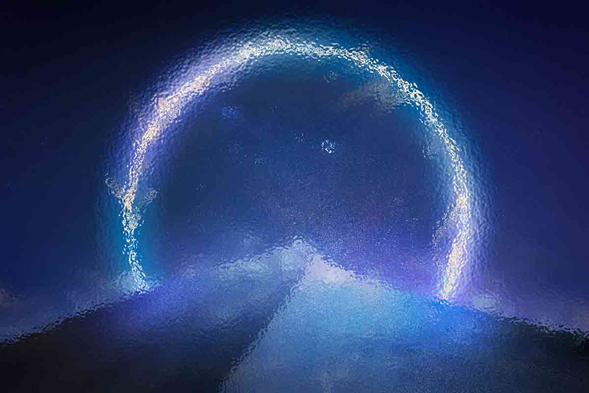 Educated: A Memoir of Self-Discovery - Image 3