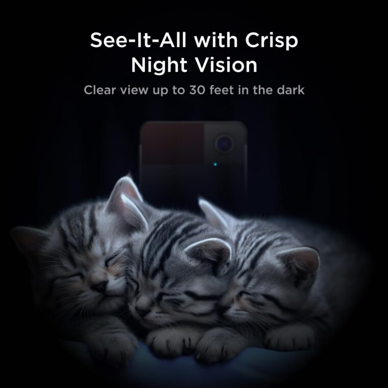 Petcube Play 2 Wi-Fi Pet Camera with Laser Toy for Cats & Dogs, 1080P HD Video, 160° Full-Room View, 2-Way Audio, Sound/Motion Alerts, Night Vision, Pet Monitoring App - Image 5