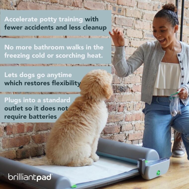 BrilliantPad Smart Indoor Dog Potty for Small Pets | Self Cleaning with Odor Control, AI Health Monitoring, Puppy Training Alternative to Grass Turf | Includes 1 Absorbent Pad Roll & Smartphone App - Image 7