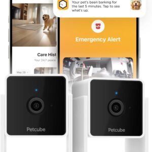 Petcube Cam The Pack of 2 | Indoor Wi-Fi Pet Security Camera with Phone App, 2-Way Audio and Video, Night Vision, 1080p HD Video and Smart Alerts