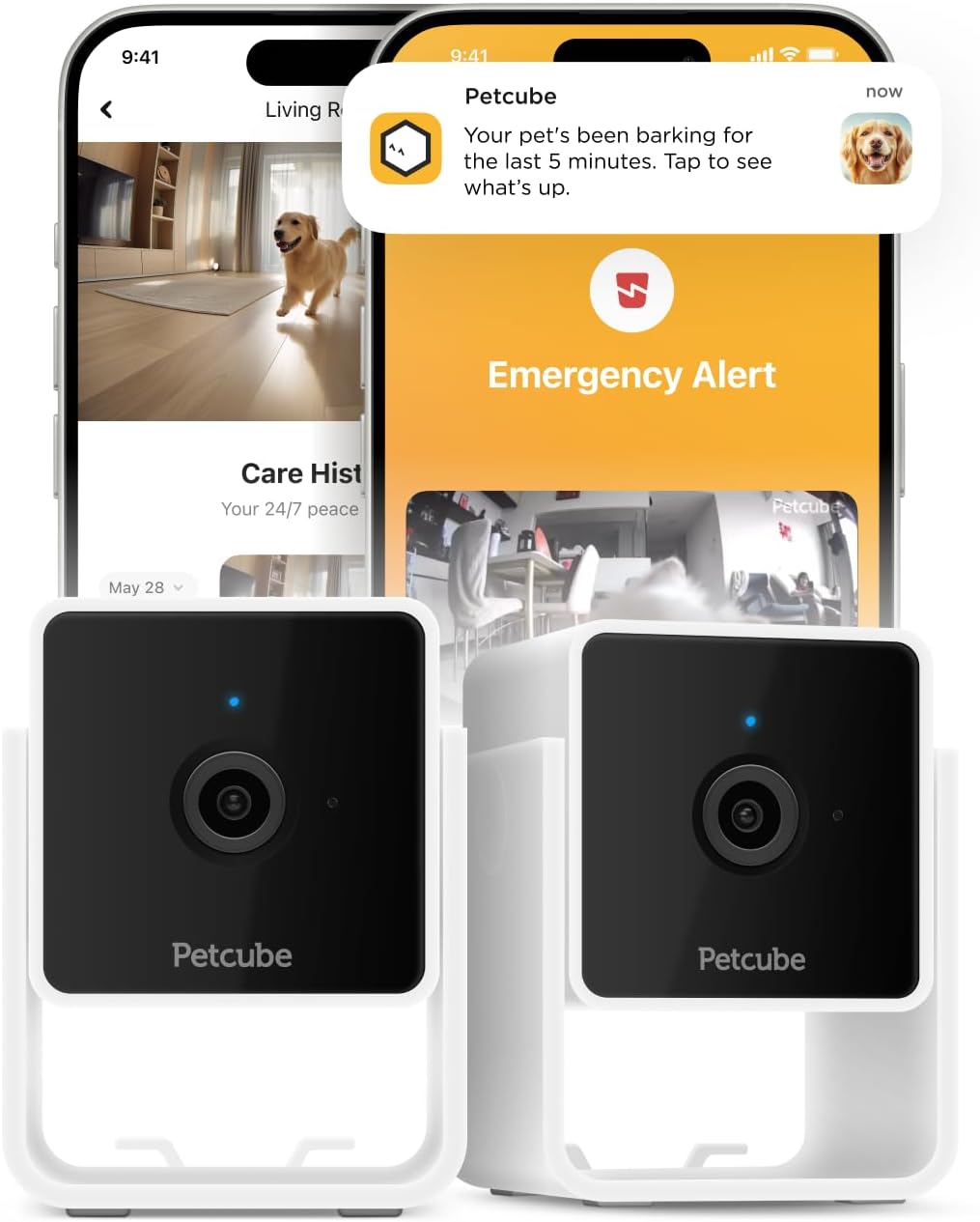 Petcube Cam The Pack of 2 | Indoor Wi-Fi Pet Security Camera with Phone App, 2-Way Audio and Video, Night Vision, 1080p HD Video and Smart Alerts