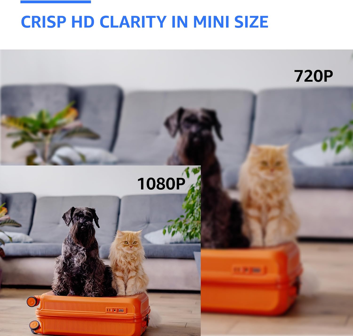 Plug-in Indoor Camera – Premium Full HD 1080P, 110° Wide View, Motion Detection – No WiFi Needed – Continuous Recording via microSD – Simple Plug-and-Go Setup for Home, Nanny & Pet Monitoring - Image 5